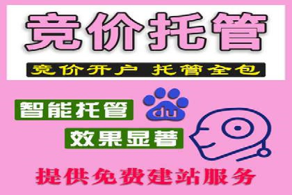 某企业通过搜索开户返点实现盈利增长